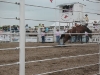 rodeo